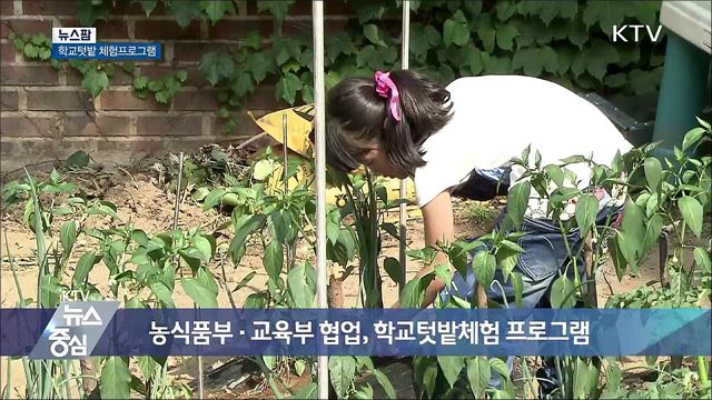 학교텃밭 체험프로그램 [뉴스팜]