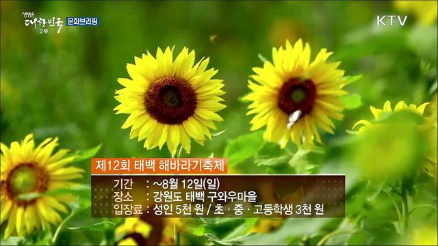 한여름 밤의 불꽃쇼부터 해양축제까지···..무더위 날릴 이색축제 '풍성' [문화 브리핑]