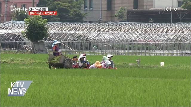 전국 '폭염경보'···정부 "폭염도 자연재난"