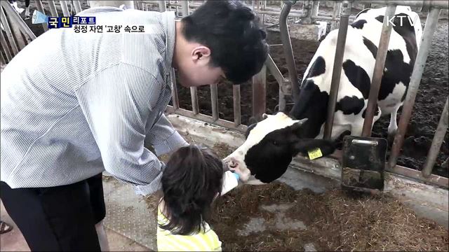 세계가 인정한 '청정 자연' 속에서 휴가를