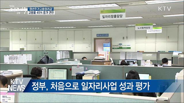 '청년추가고용장려금' 고용률 45% 증가 견인