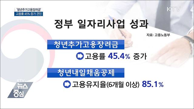 '청년추가고용장려금' 고용률 45% 증가 견인