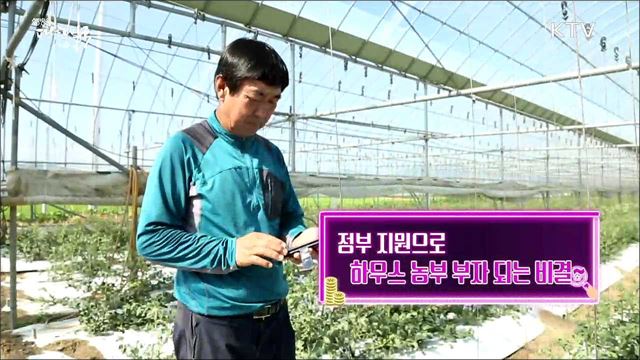 정부 지원으로 하우스 농부 부자 되는 비결 [돈이 보이는 정책]