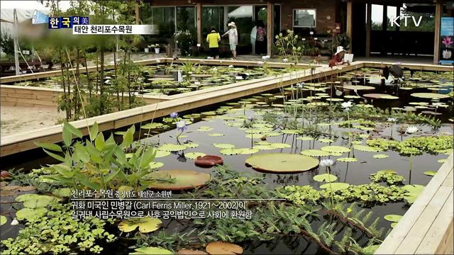태안 천리포수목원 [한국의 美]