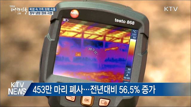 폭염에 가축 폐사 속출···정부 피해 최소화 '총력'