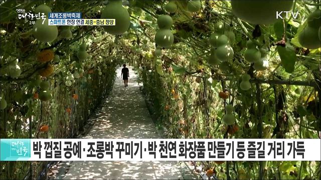 세계 각국의 형형색색 희귀한 박! 세계조롱박축제