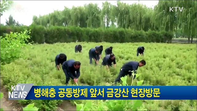 생방송 대한민국 1부 (213회)