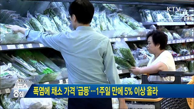 폭염에 채소 가격 '급등'···1주일 만에 5% 이상 올라