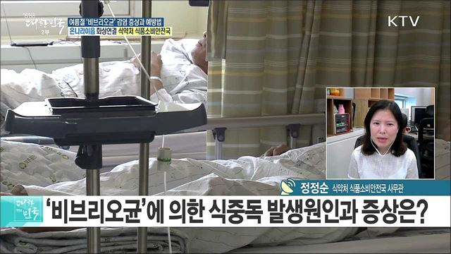 여름철 '비브리오균' 조심하세요···감염 증상과 예방법은? [e 브리핑]