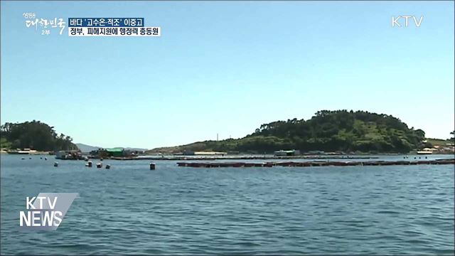 '바다' 고수온·적조 비상···정부 대응 총력