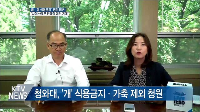 靑 '개' 식용금지·가축 제외 적극 검토