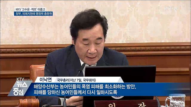 '바다' 고수온·적조 비상···정부 대응 총력