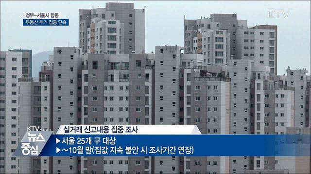 오늘부터 부동산 투기 집중 단속