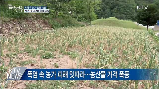 폭염 속 농작물·가축 피해 속출···정부 총력 대응