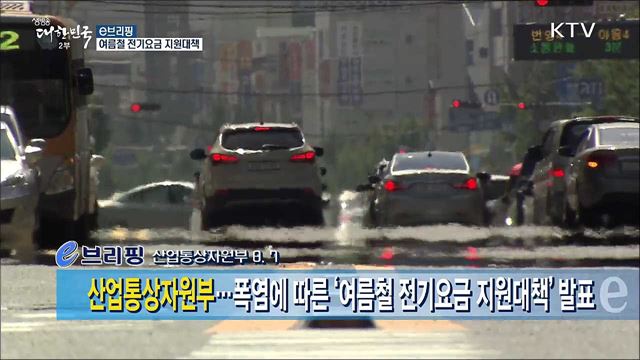 여름철 전기요금 지원대책 [e 브리핑]