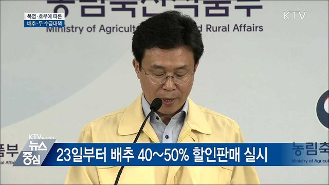 배추·무 수급대책···조기출하 확대 [오늘의 브리핑]