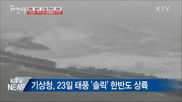 태풍 '솔릭' 한반도 관통할 듯···"피해 우려"