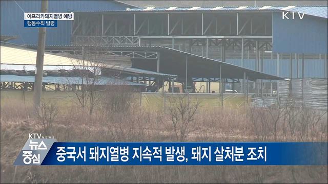 치사율 100% '아프리카돼지열병'···예방 행동수칙 발령