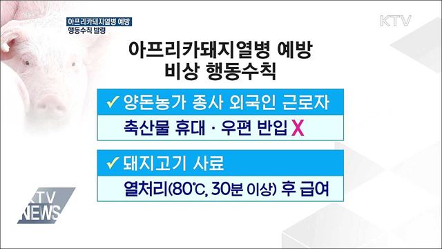 치사율 100% '아프리카돼지열병'···예방 행동수칙 발령