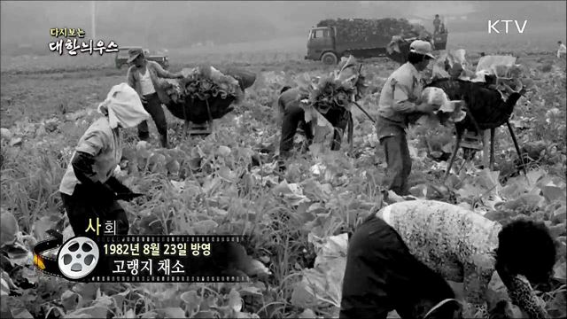 다시보는 대한늬우스 (82.08.23)