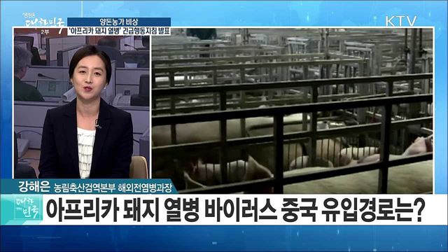 양돈농가 비상···' 아프리카 돼지 열병' 긴급행동지침 발표 [정책 공감]