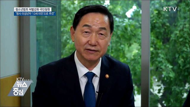 "형사미성년자 '13세 미만'으로 추진"