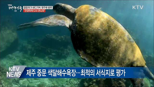 제주서 멸종위기 바다거북 방류···"다시 만나자"