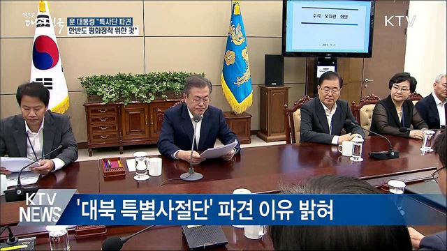 문 대통령 "한반도 평화정착 위해 특사단 파견"