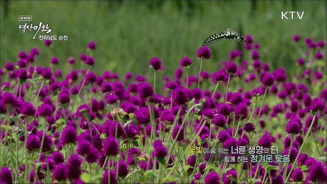아름다운 산천, 아늑한 전원 도시 순천