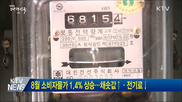 8월 소비자물가 1.4% 상승···채솟값↑·전기료↓