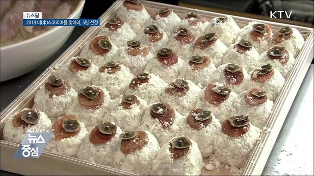 2018 미(米)스코리아를 찾아라, 5팀 선정 [뉴스팜]