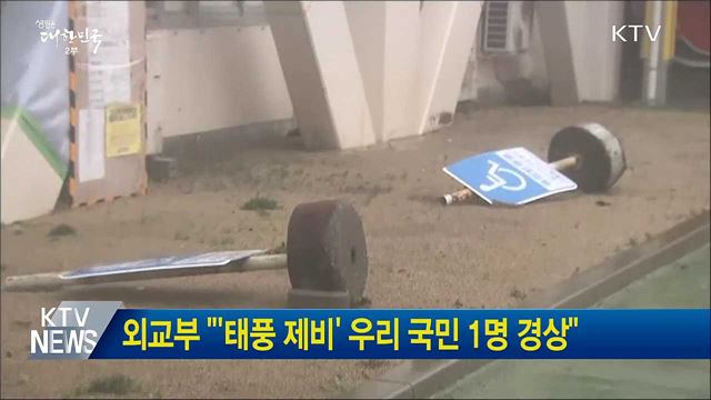 외교부 "'태풍 제비' 우리 국민 1명 경상"
