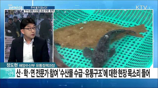 추석 물가 잡는다! '추석 대비 수산물 공급 안정' 총력 [라이브 이슈]