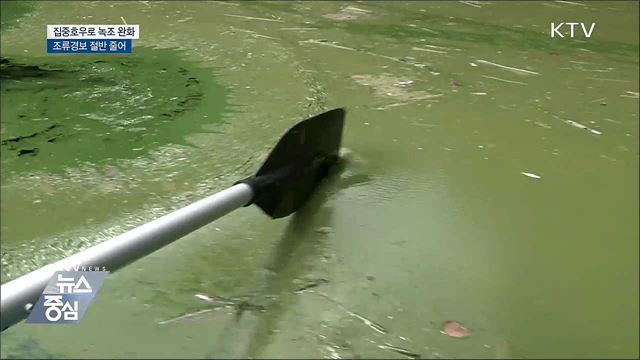 태풍·늦장마에 사라진 녹조···저수율 '껑충'