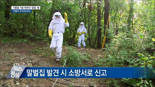 추석, 전통시장 주변 주차 허용·각종 관광지 무료