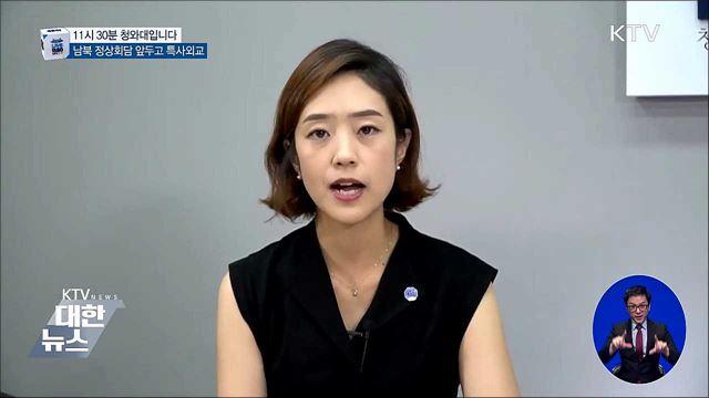 남북 정상회담 앞두고 특사외교