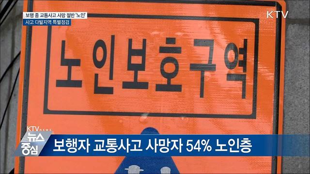 보행 중 교통사고 사망, 노인이 54%···다발지역 특별점검