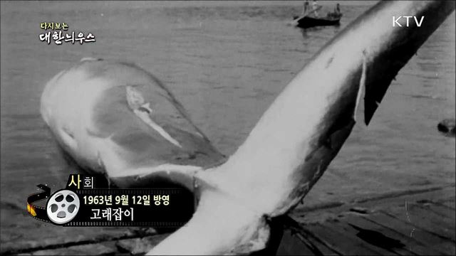 다시보는 대한늬우스 (63. 09. 12)