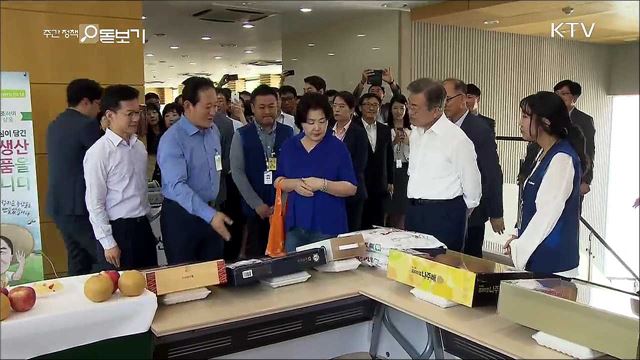 추석 황금연휴, 문화·여행으로 풍성하게