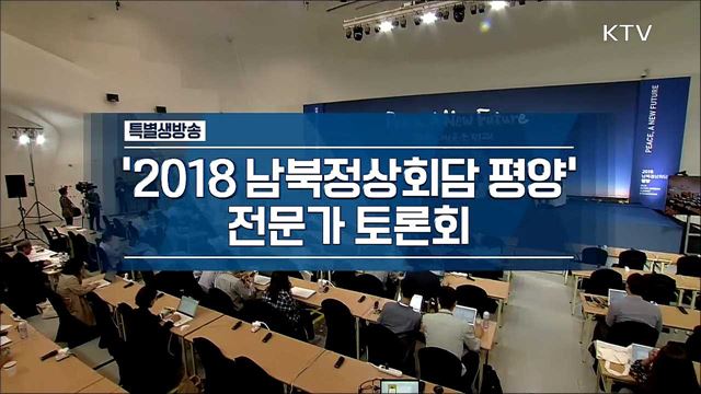 <2018 남북정상회담 평양> 전문가 토론회