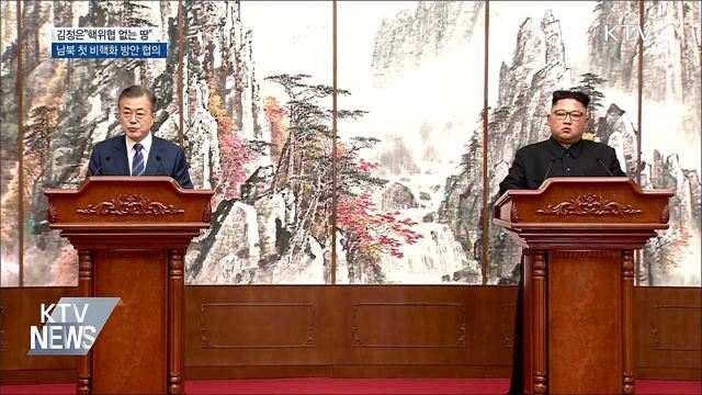 김정은 "핵위협 없는 땅"···남북 첫 비핵화 합의