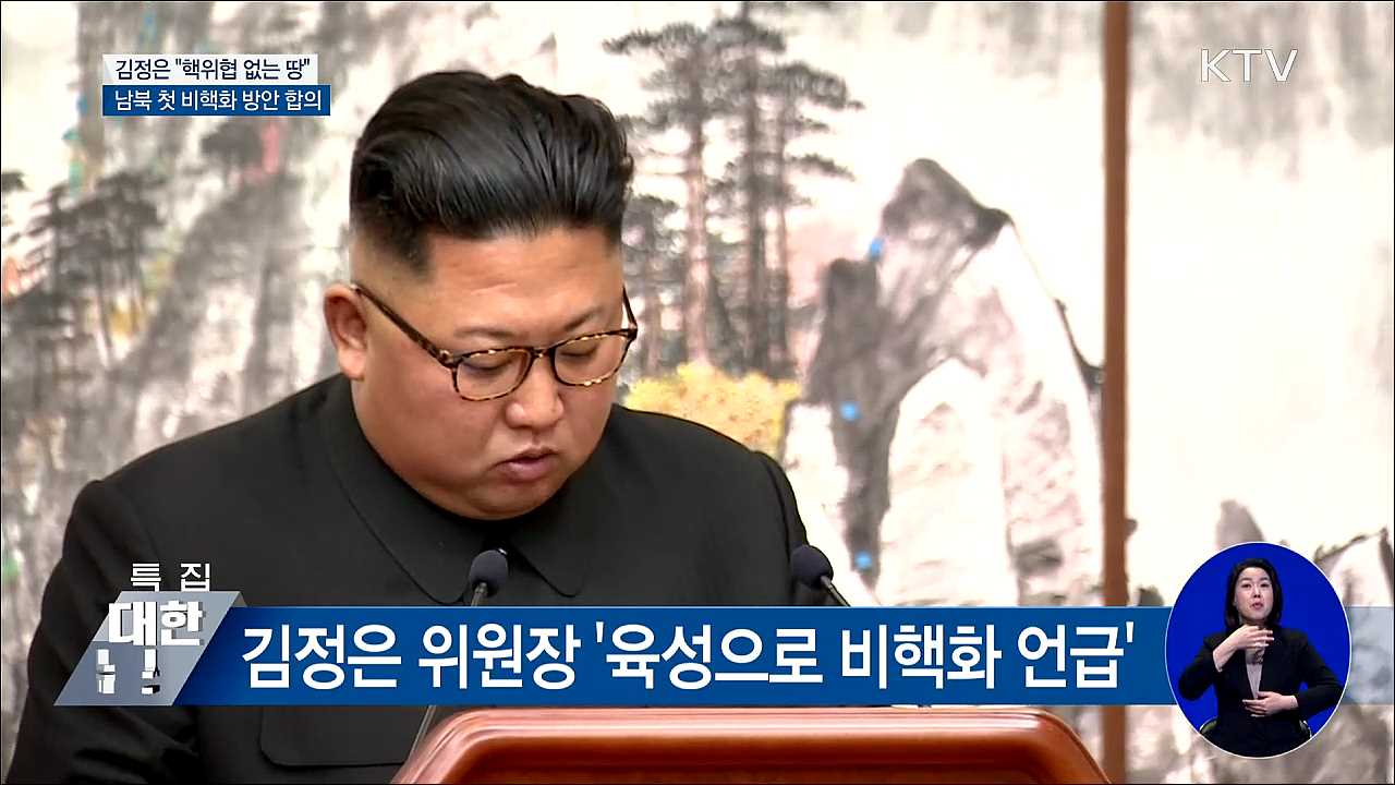 김정은 "핵위협 없는 땅"···남북 첫 비핵화 합의
