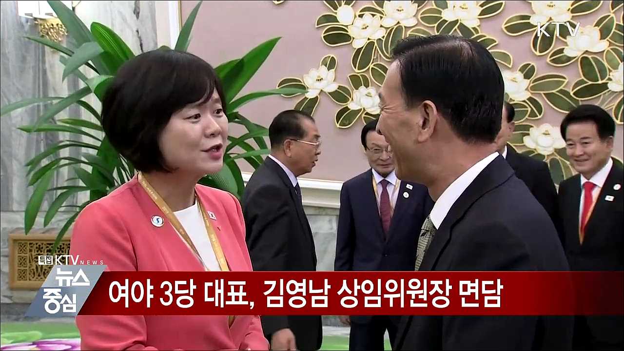 남북정상회담 특별수행단 일정 영상