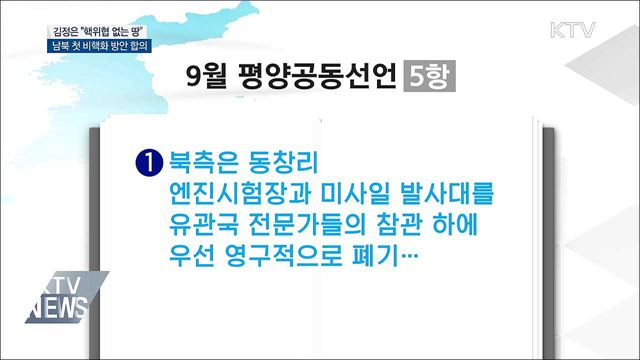 김정은 "핵위협 없는 땅"···남북 첫 비핵화 합의