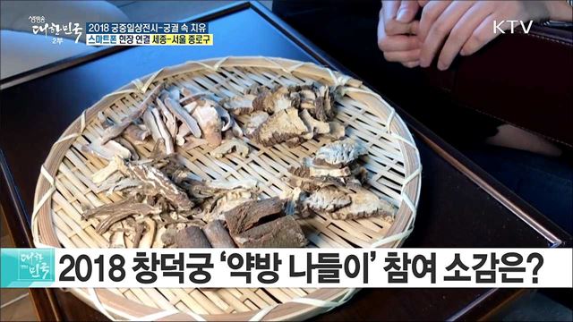 창덕궁 내의원 약방 나들이! 2018 궁중일상전시-궁궐 속 치유