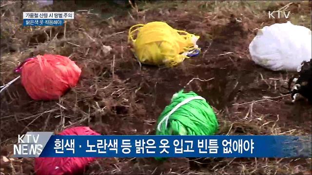 가을철 '땅벌' 주의···밝은 옷 입고 빈틈 없애야