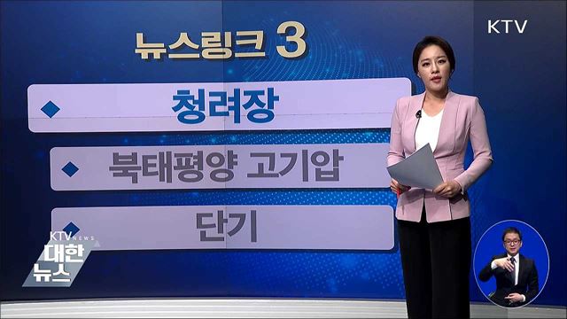청려장 [뉴스링크]
