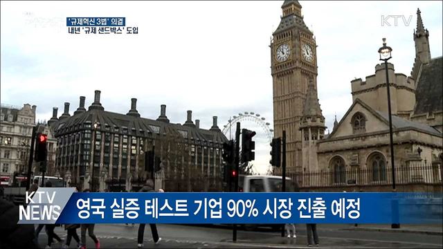 내년부터 '한국형 규제 샌드박스' 도입