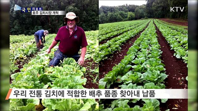 호주에 김치 전도사···대형 마켓에도 진출