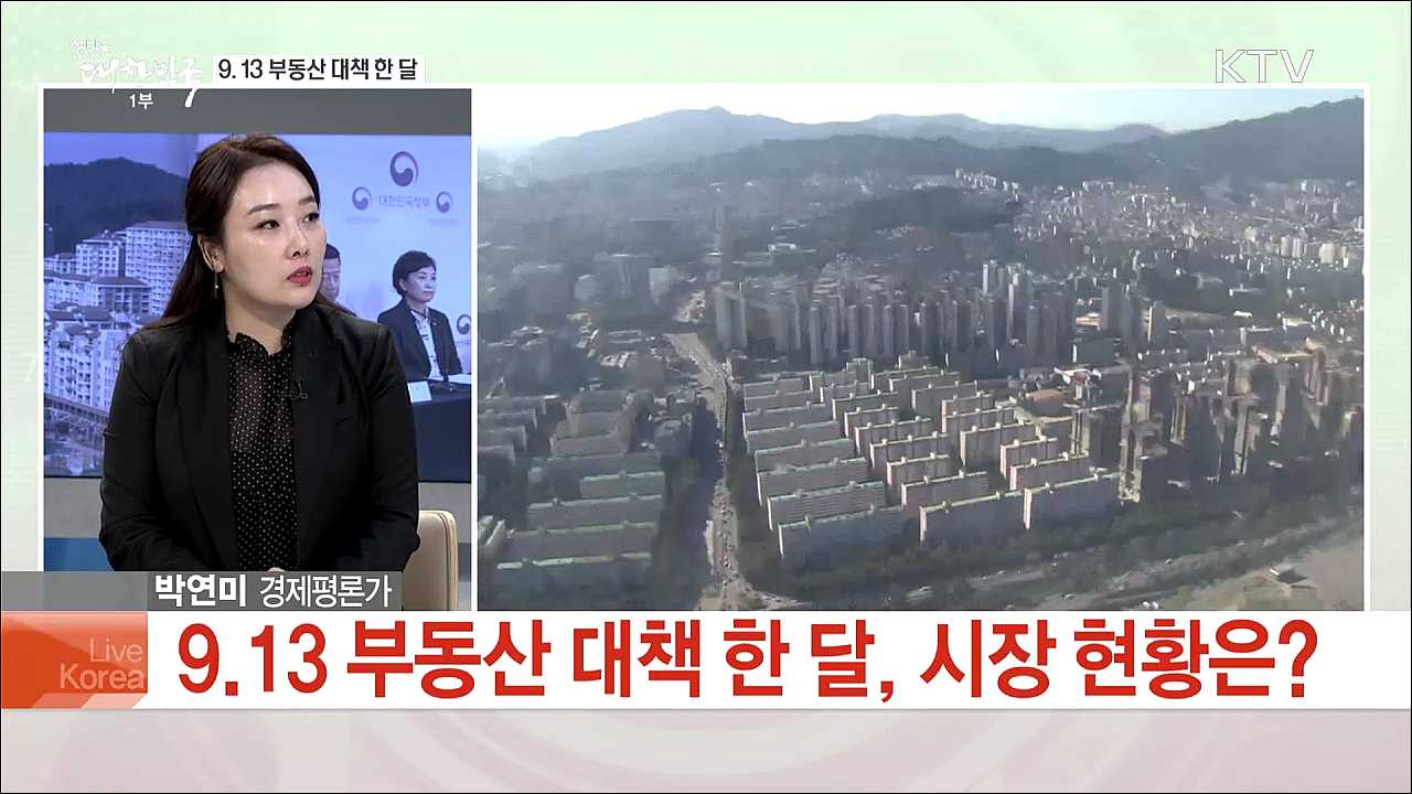 9.13 부동산 대책 시행 한 달 서울 집값 잡힐까?